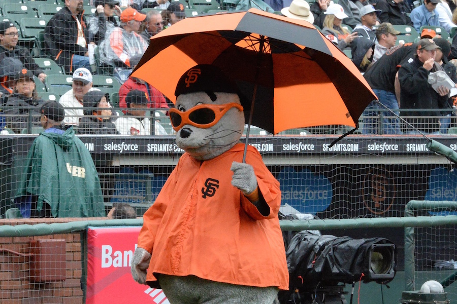 San Francisco Giants Mascot, Rain