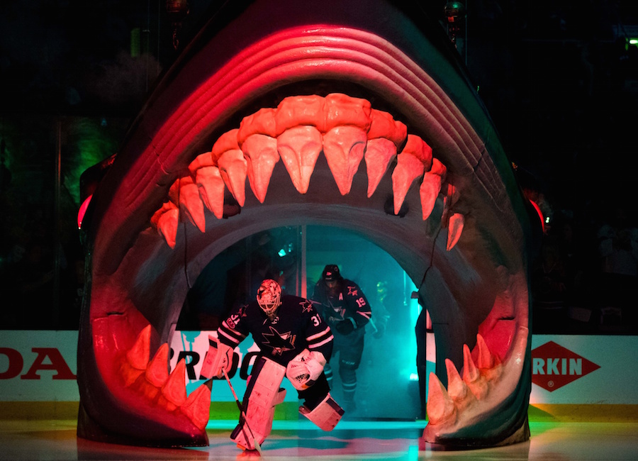San Jose Sharks