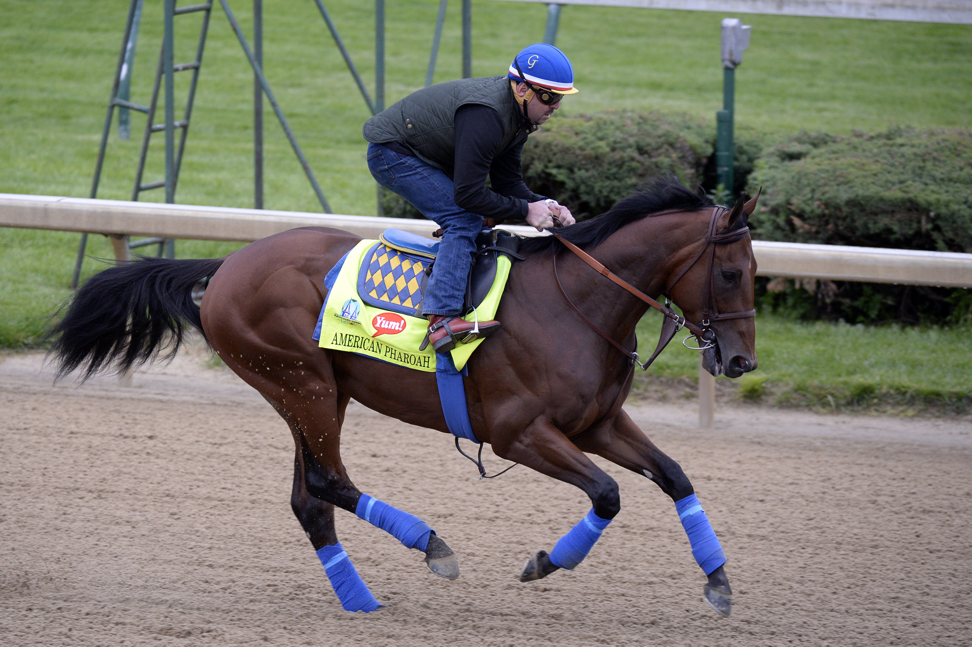 Horse Racing: Kentucky Derby-Workouts