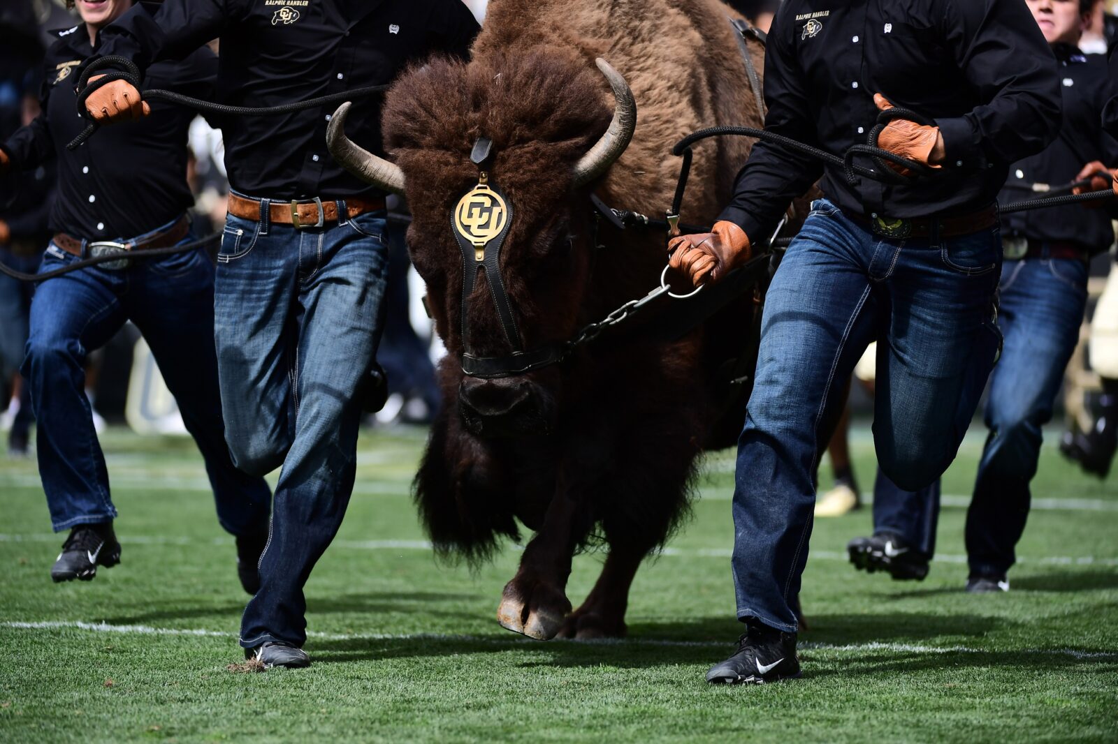 What you need to watch for at the Colorado Buffaloes' spring game