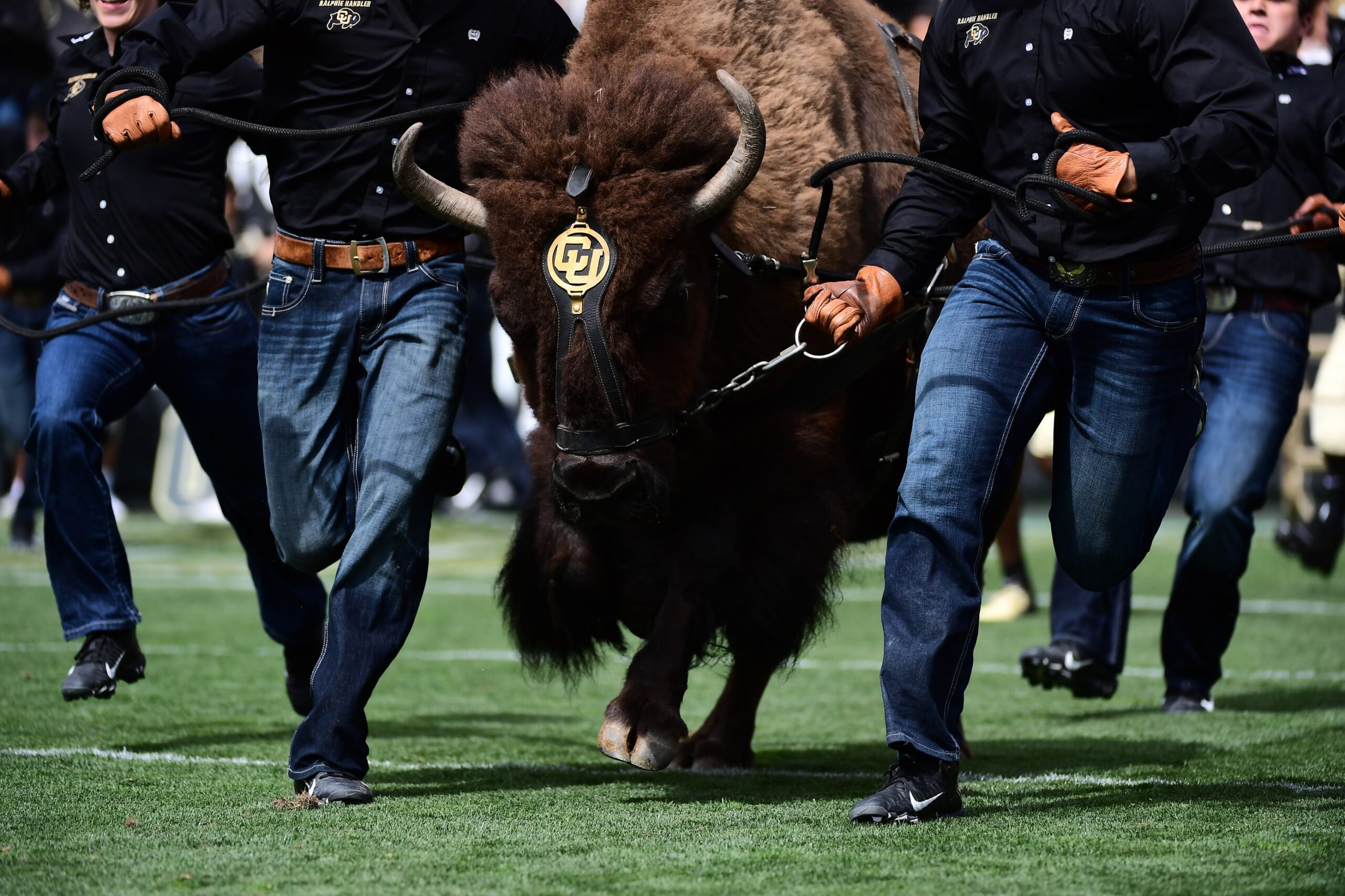 Colorado Buffaloes Football Uniforms: Past and Soon-to-Be Present - The  Ralphie Report