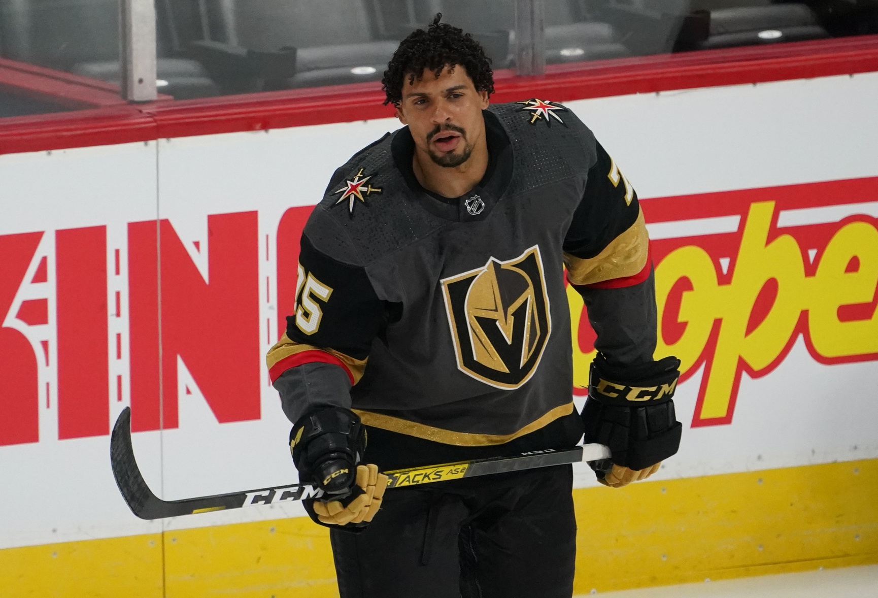 Ryan Reaves, Todd Bertuzzi and the NHL's late-game shenanigans - Mile High  Sports