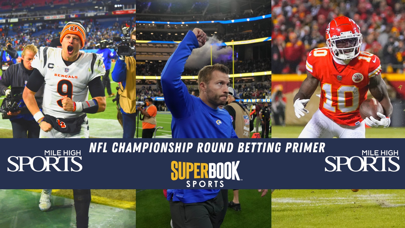 Betting Guide-19