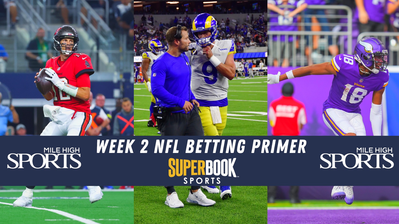 Betting Guide-2