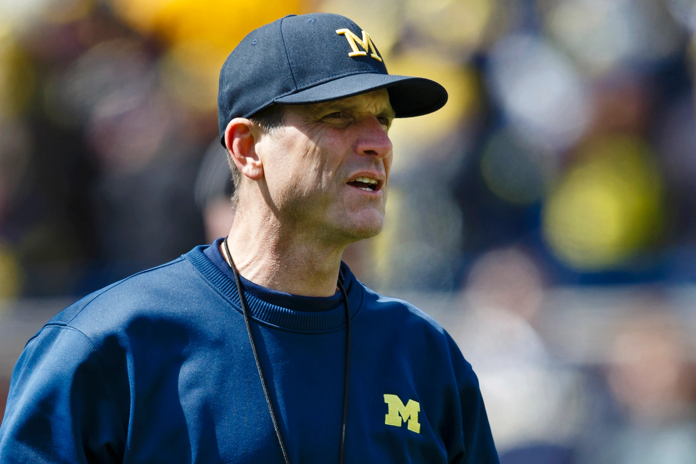 Harbaugh can't seem to move on