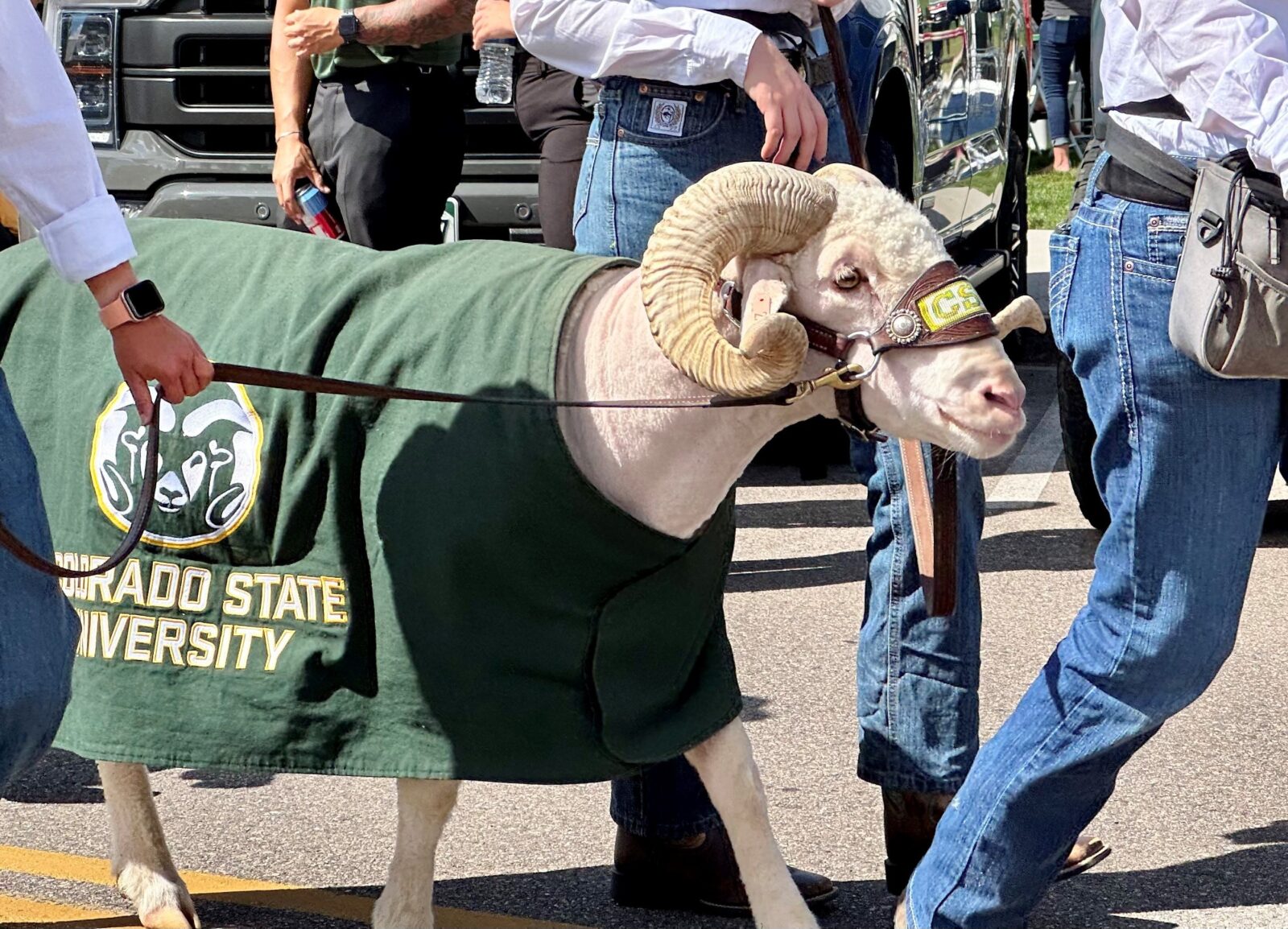 Washington State hands CSU Rams third straight defeat to start Jay Norvell  era – The Denver Post